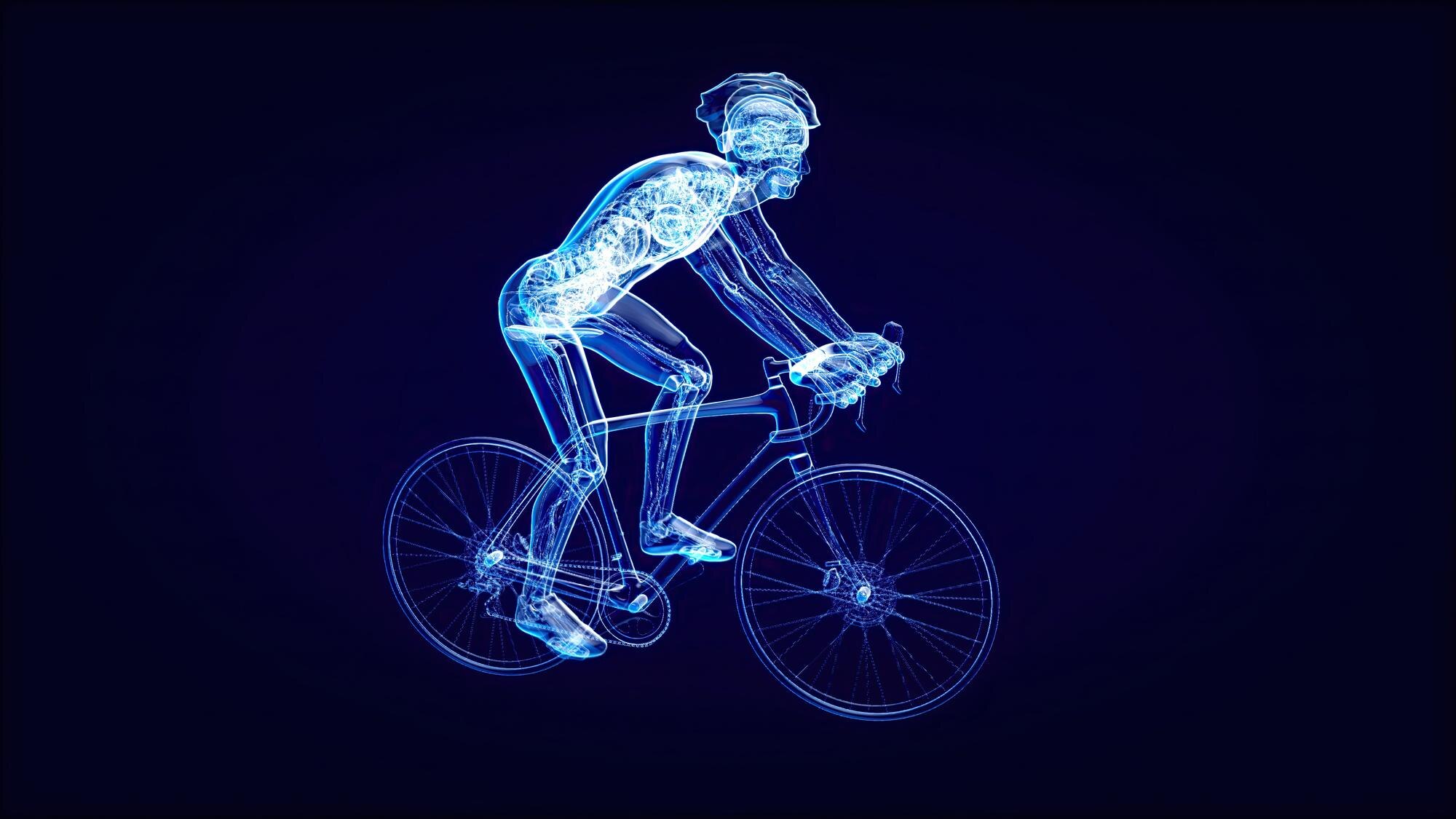 Ciclismo y cuerpo humano
